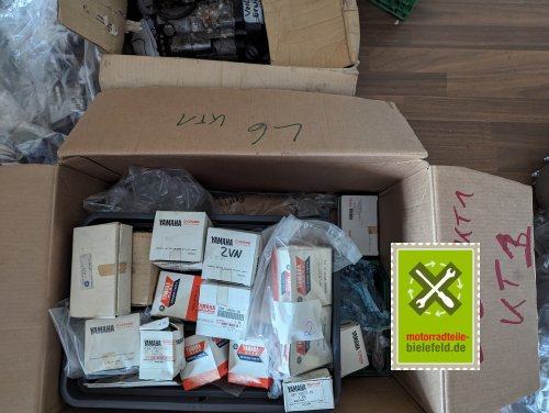 PXL_20240527_160141168